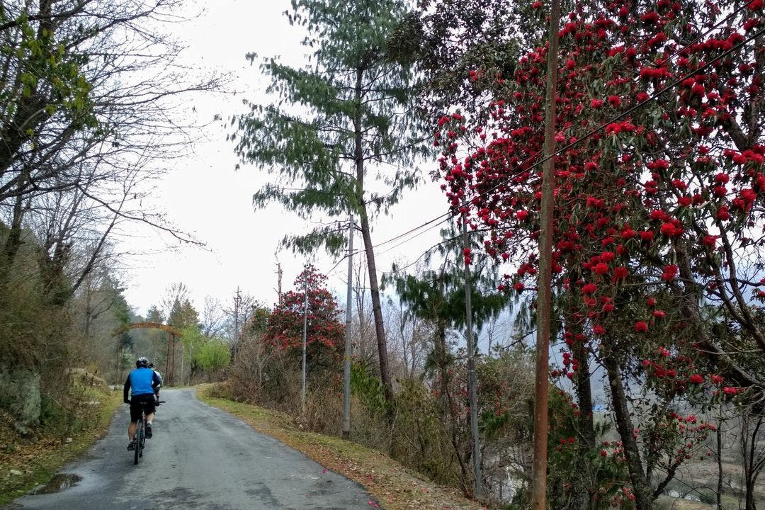 Cycling in Western Arunachal Pradesh